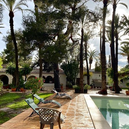 Pink Lemon House Bed & Breakfast Elche Exterior foto