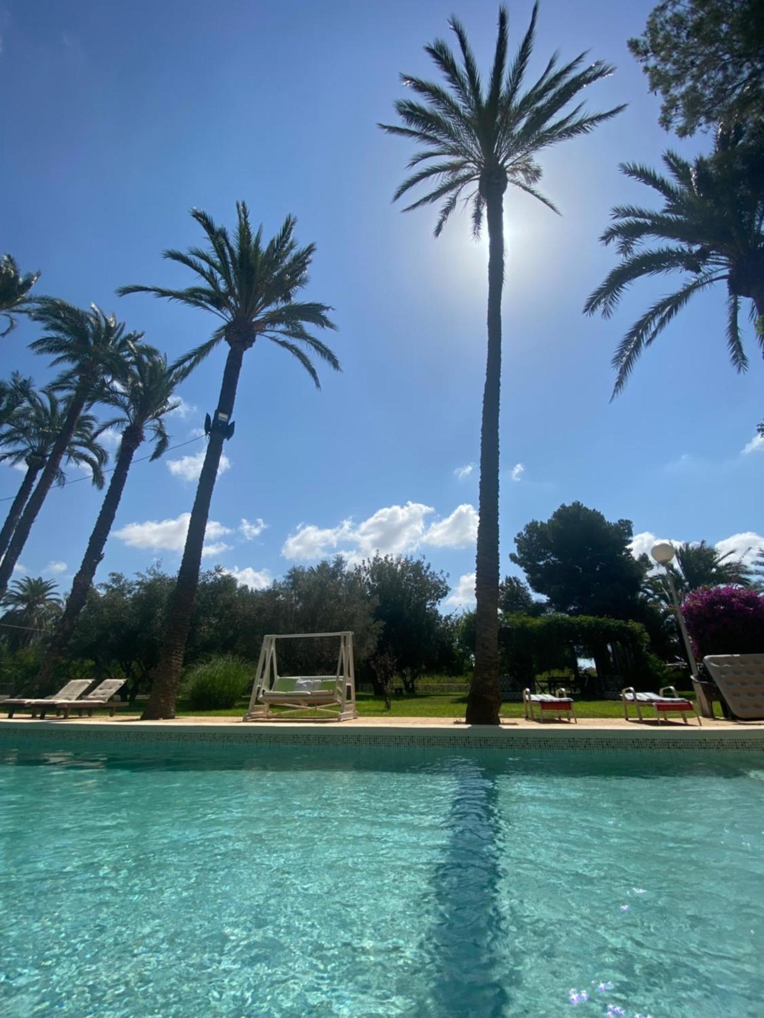 Pink Lemon House Bed & Breakfast Elche Exterior foto