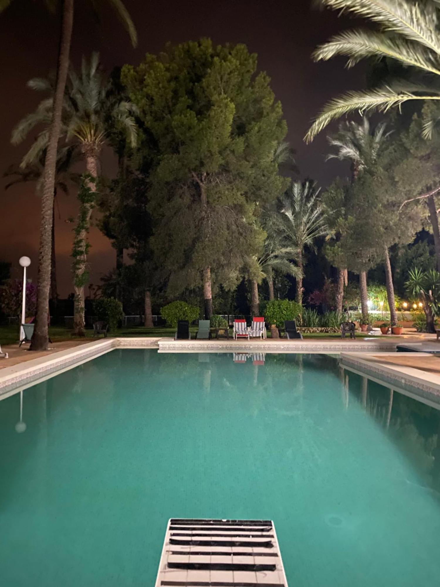 Pink Lemon House Bed & Breakfast Elche Exterior foto