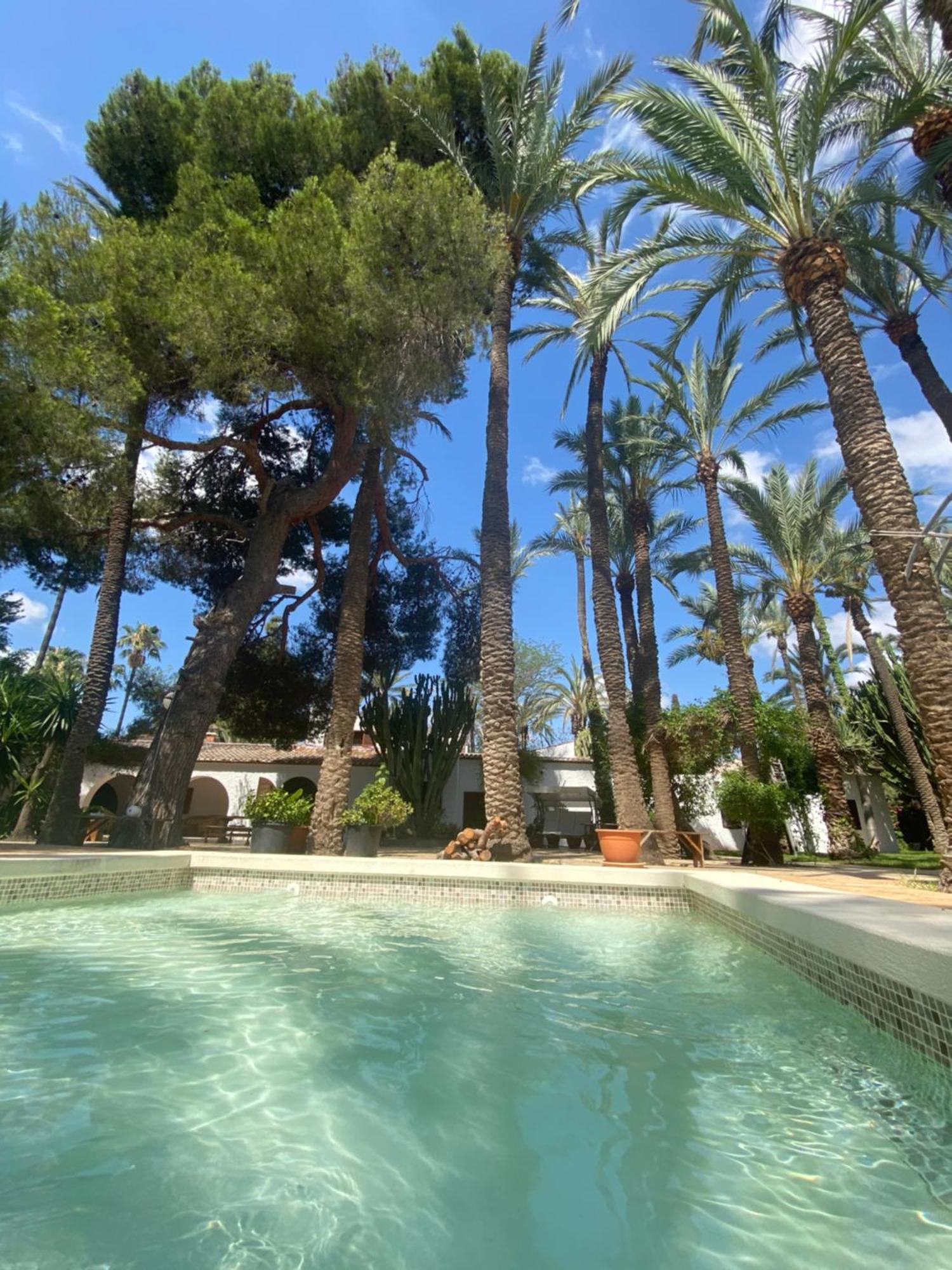 Pink Lemon House Bed & Breakfast Elche Exterior foto