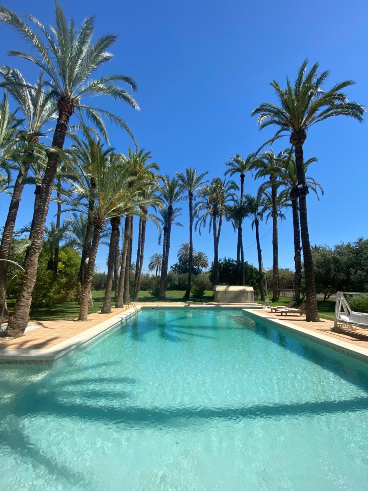Pink Lemon House Bed & Breakfast Elche Exterior foto