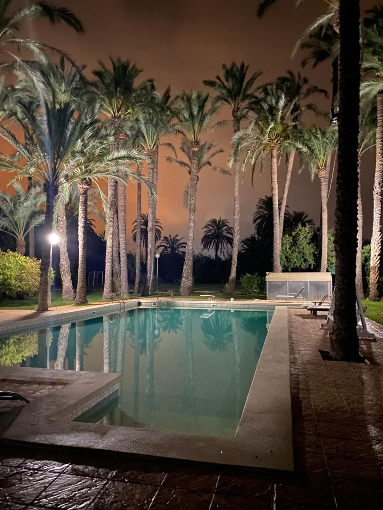 Pink Lemon House Bed & Breakfast Elche Exterior foto
