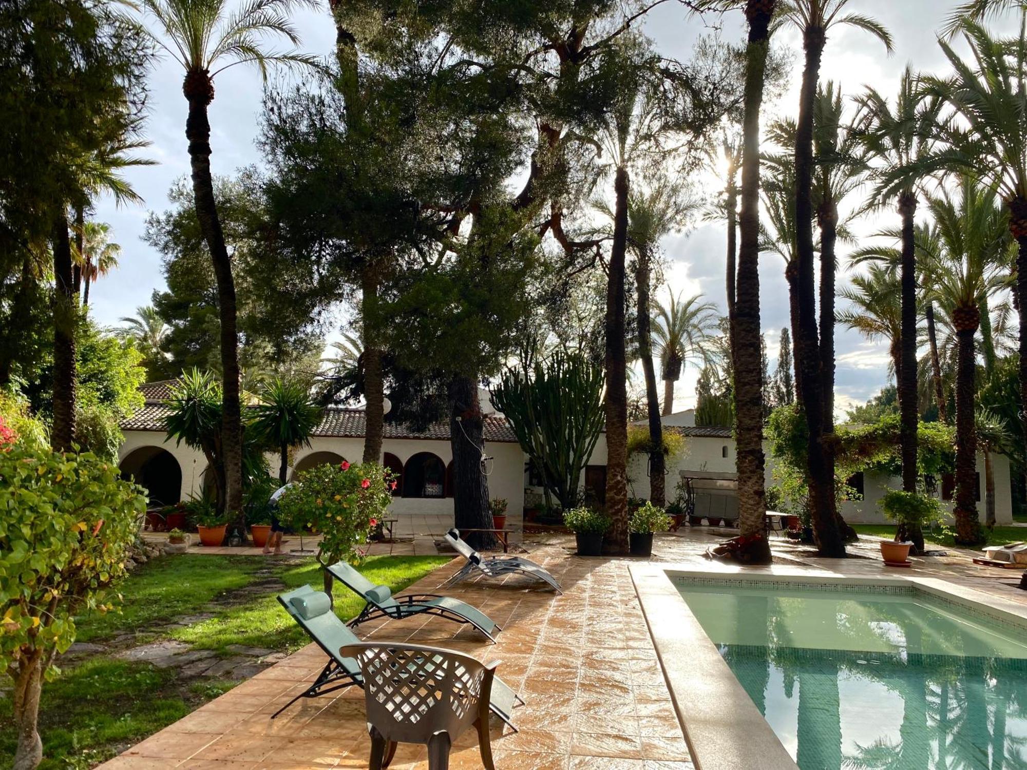 Pink Lemon House Bed & Breakfast Elche Exterior foto
