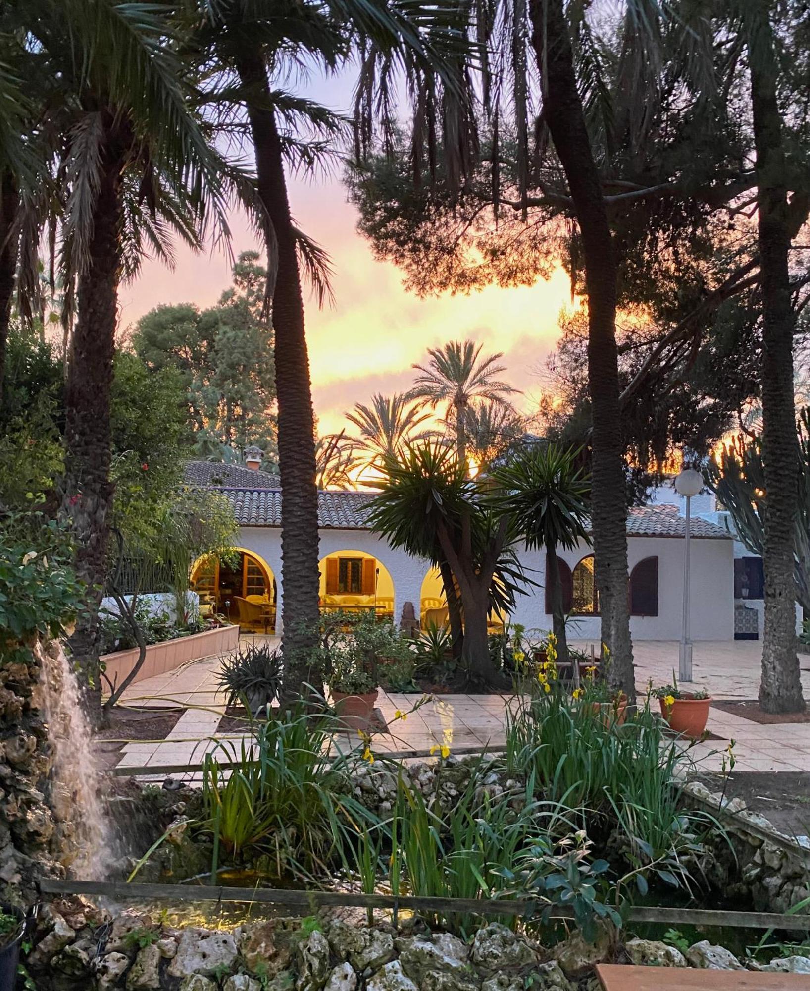 Pink Lemon House Bed & Breakfast Elche Exterior foto