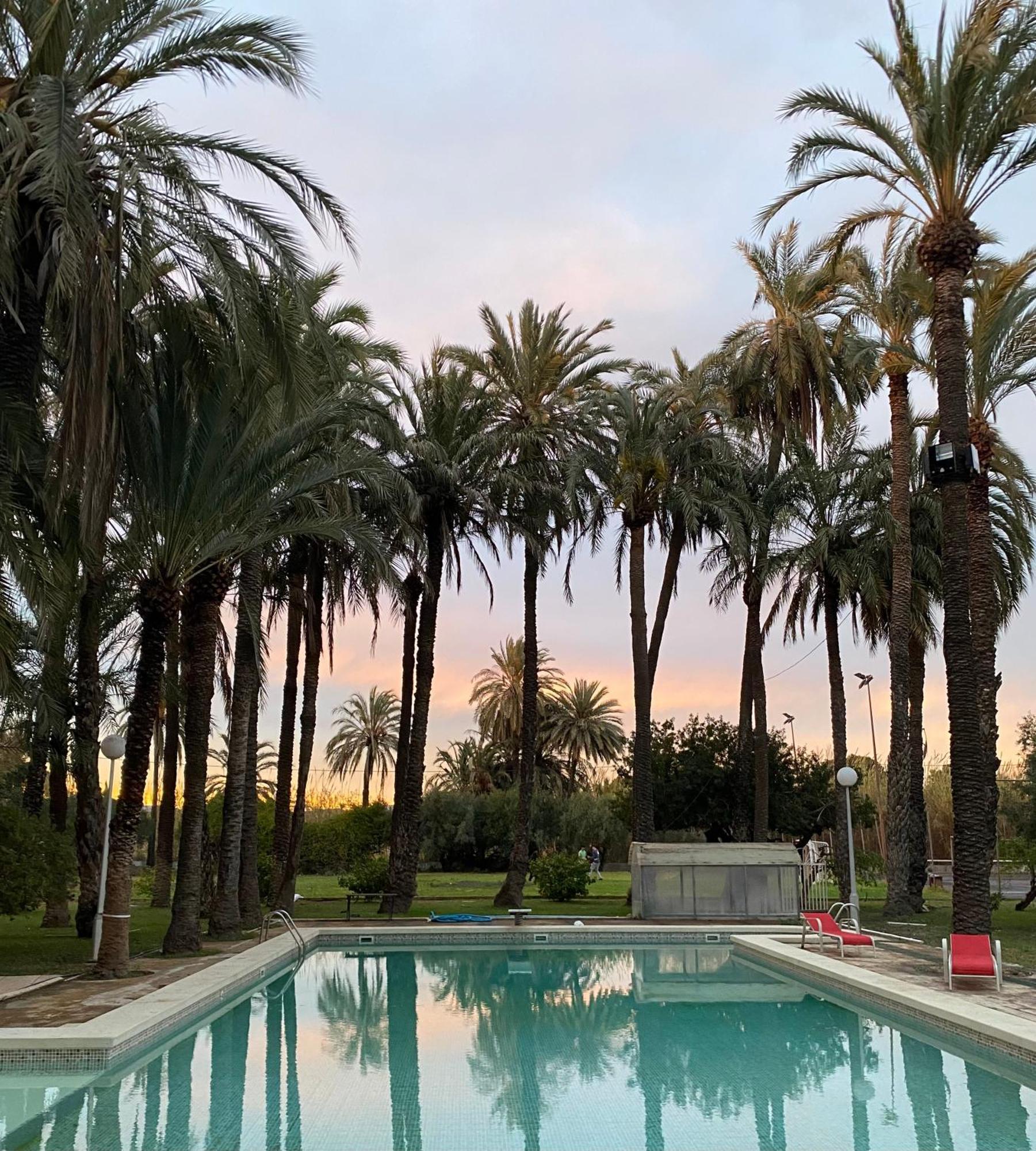 Pink Lemon House Bed & Breakfast Elche Exterior foto