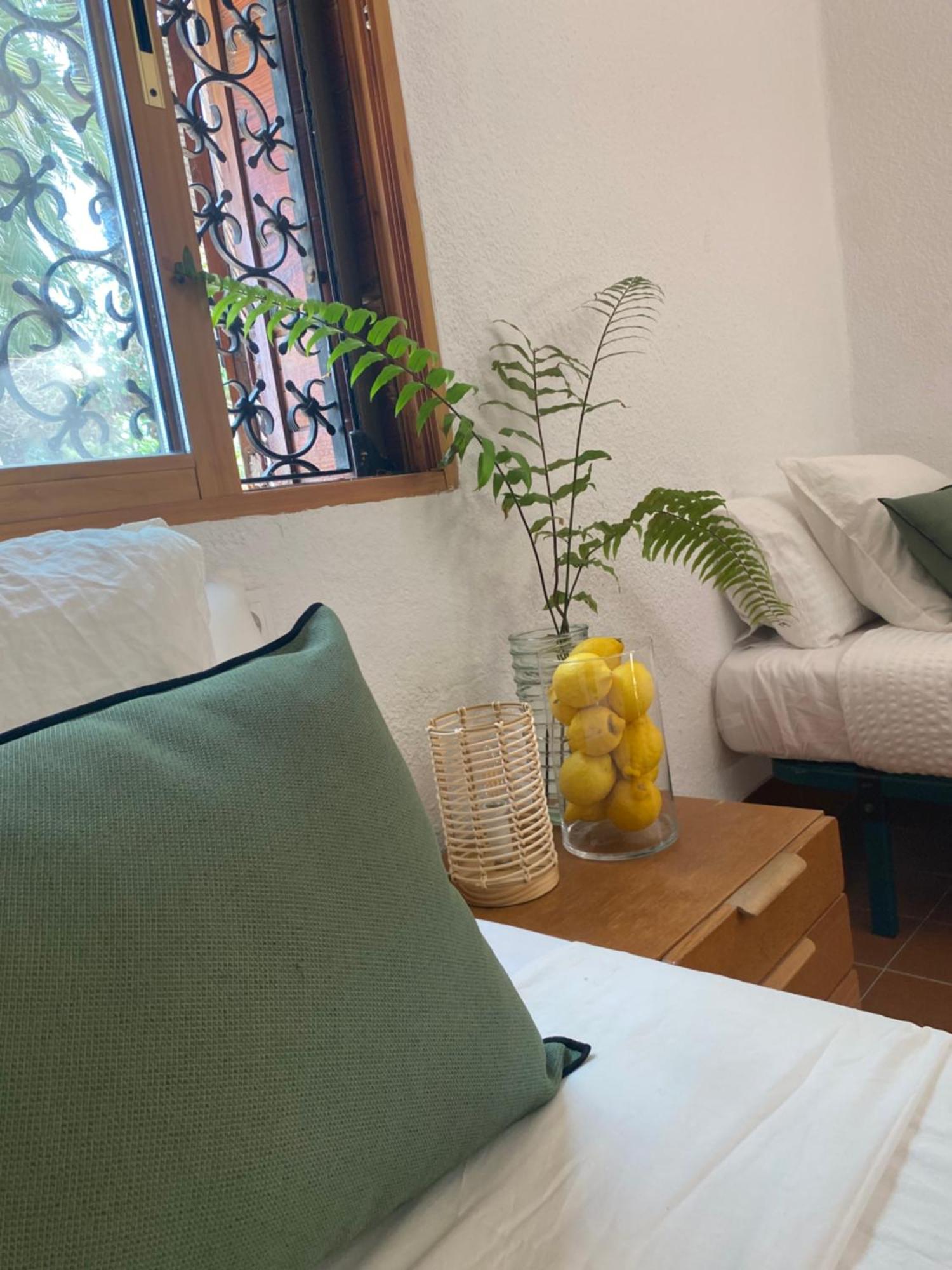 Pink Lemon House Bed & Breakfast Elche Exterior foto