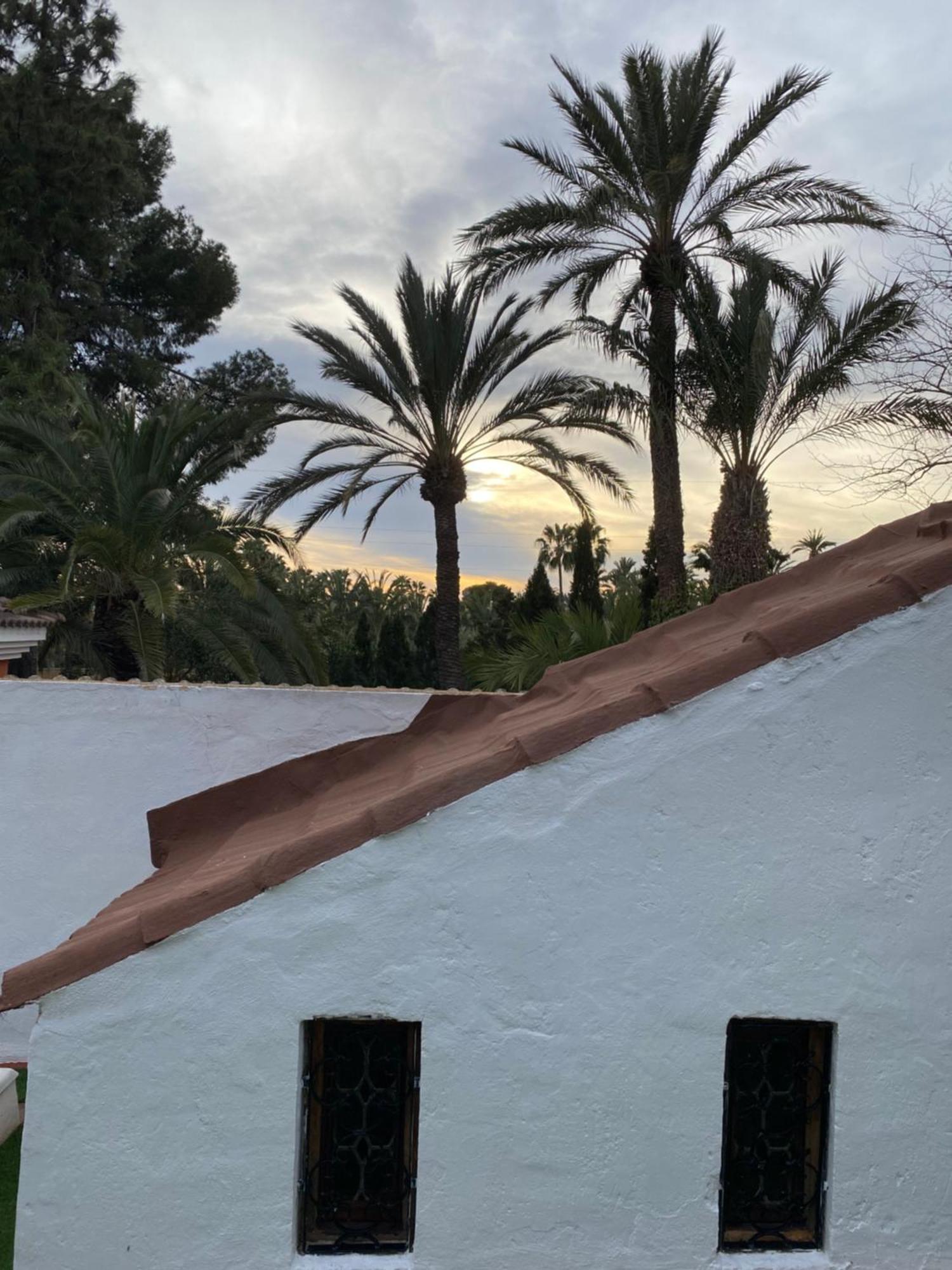 Pink Lemon House Bed & Breakfast Elche Exterior foto