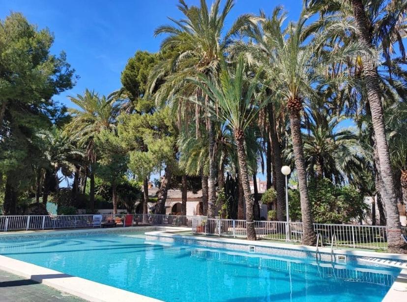 Pink Lemon House Bed & Breakfast Elche Exterior foto