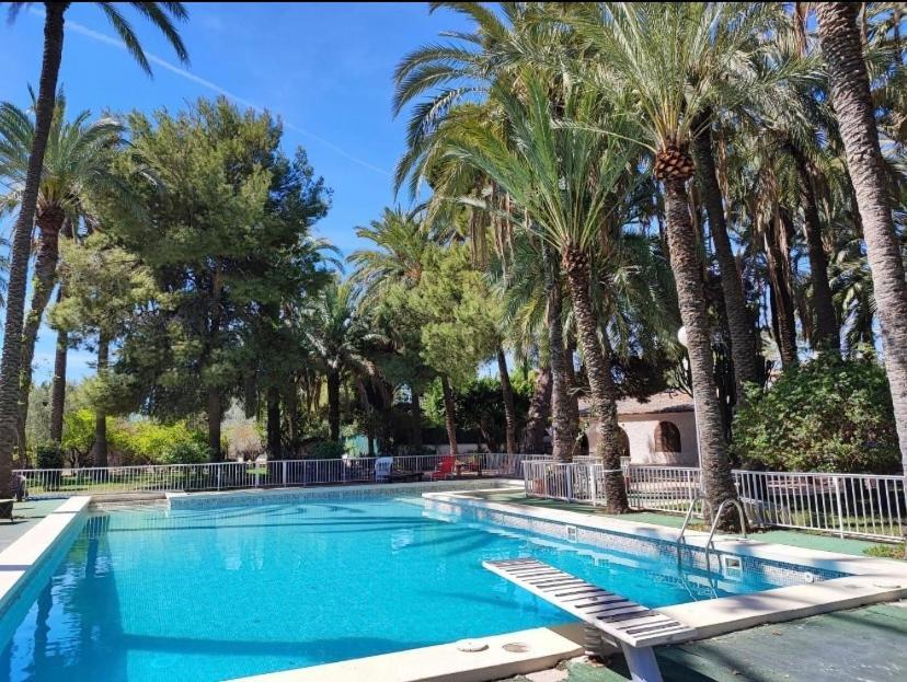 Pink Lemon House Bed & Breakfast Elche Exterior foto