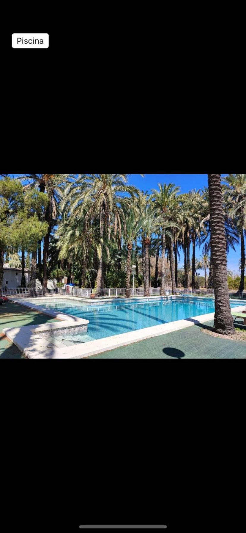 Pink Lemon House Bed & Breakfast Elche Exterior foto