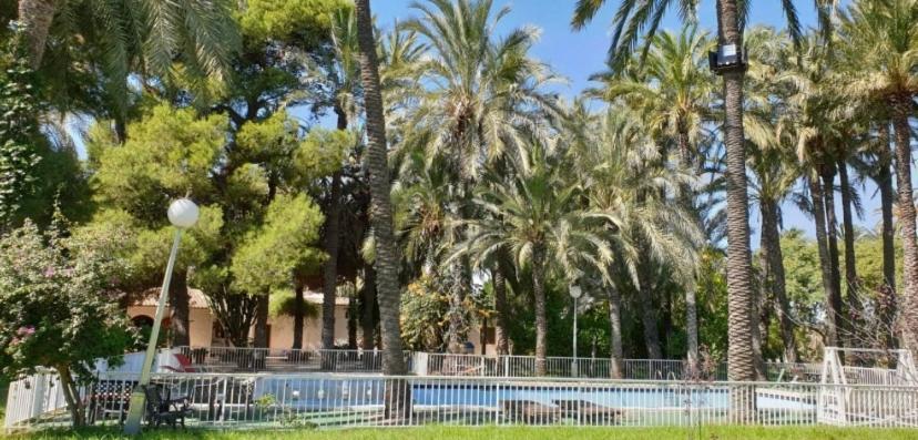 Pink Lemon House Bed & Breakfast Elche Exterior foto