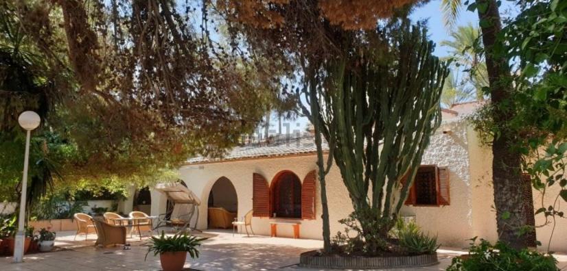 Pink Lemon House Bed & Breakfast Elche Exterior foto