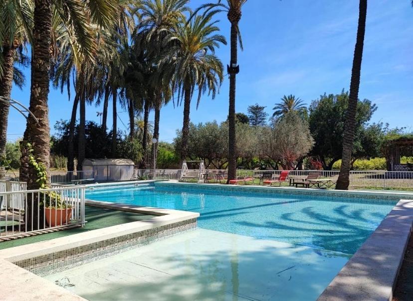 Pink Lemon House Bed & Breakfast Elche Exterior foto