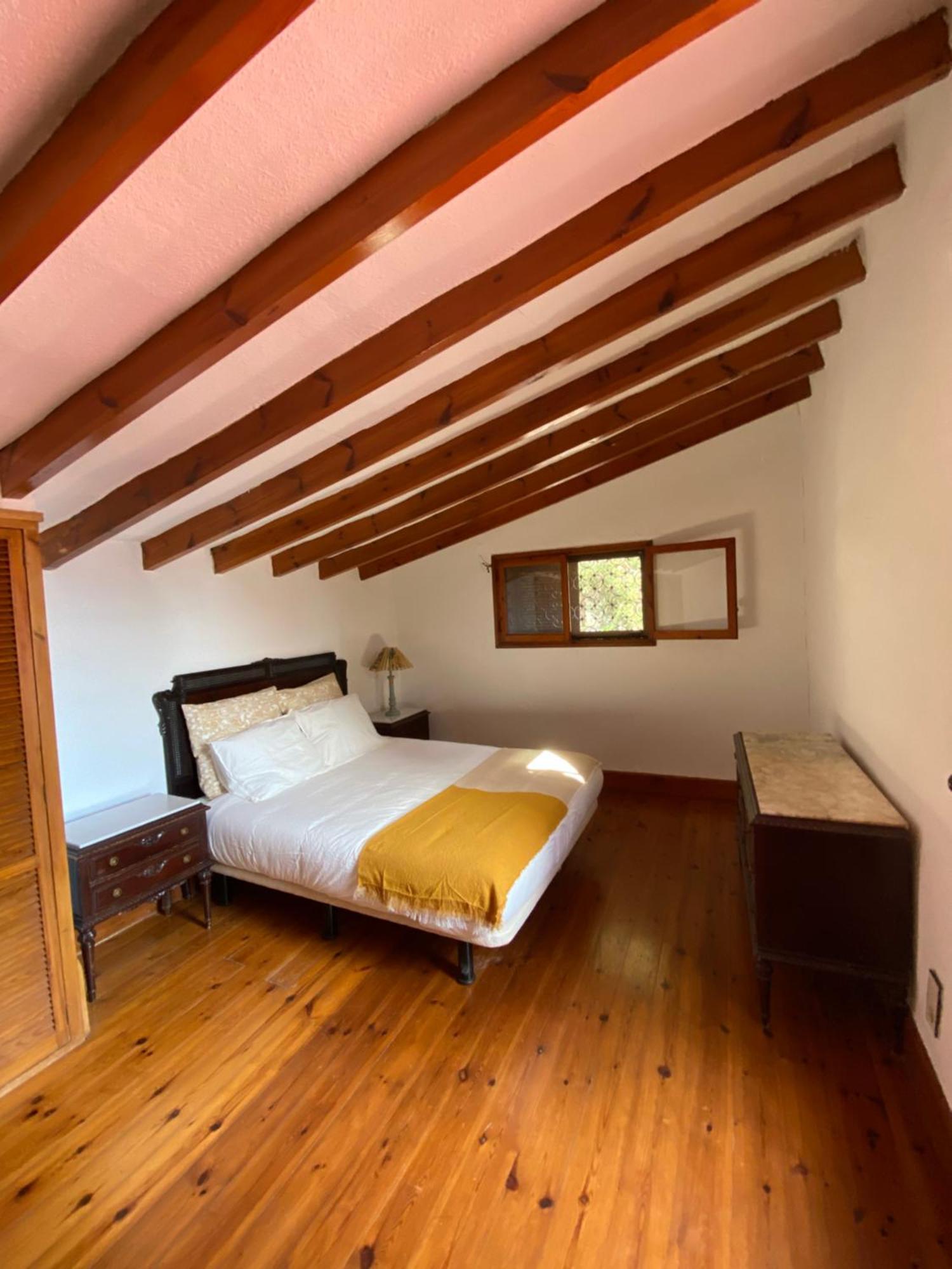 Pink Lemon House Bed & Breakfast Elche Exterior foto